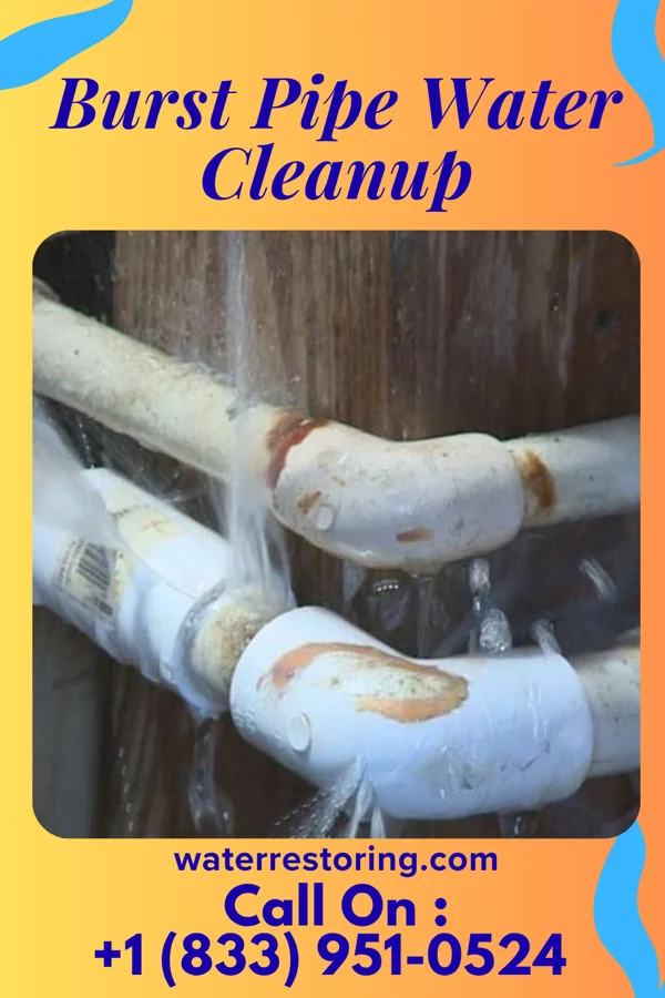 Burst Pipe Water Cleanup in Hughestown, PA