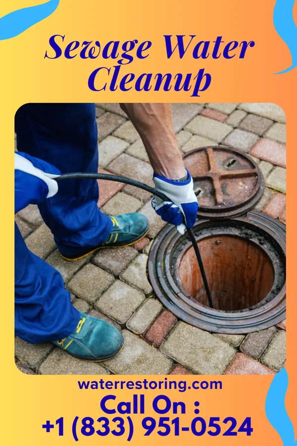 Sewage Water Cleanup in Hughestown, PA